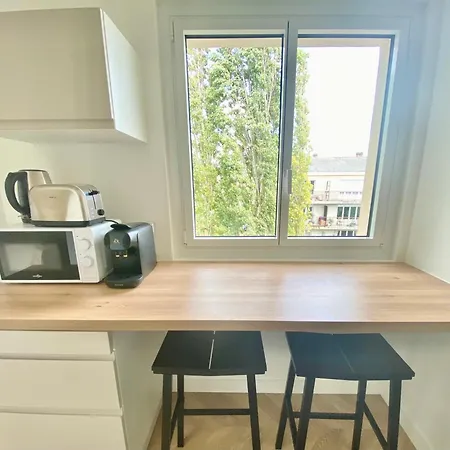 Scandinave Balcon Et Ascenseur Daire Angers