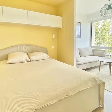 Scandinave Balcon Et Ascenseur * Анже