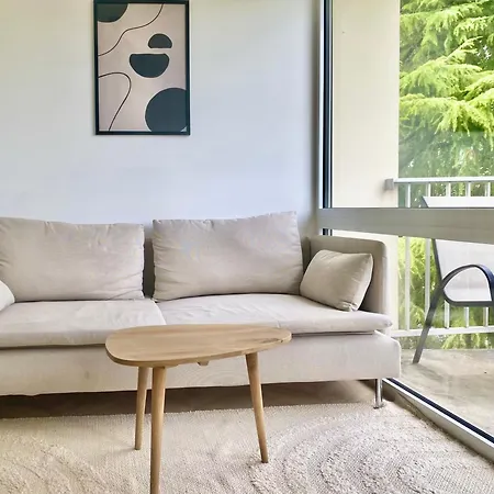 Scandinave Balcon Et Ascenseur Daire *