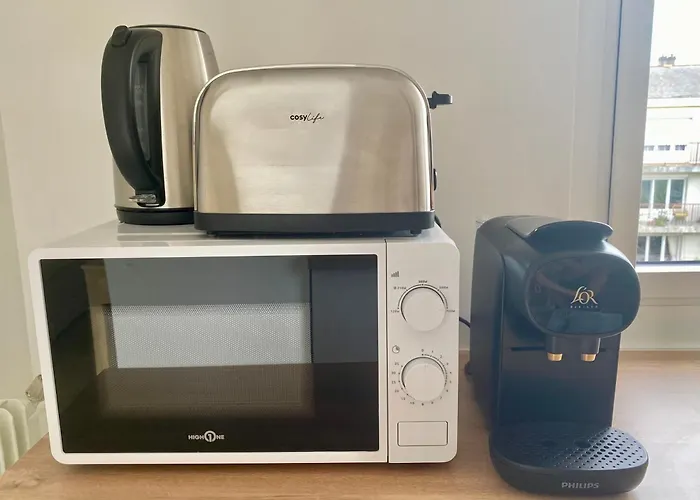 Daire Scandinave Balcon Et Ascenseur Angers